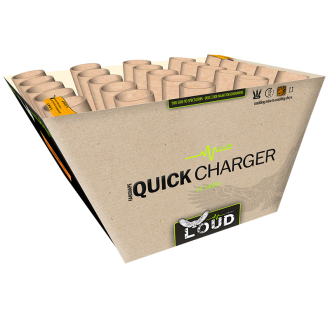 Click image for larger version

Name:	5d7b82bbb70eb2.77933318L006 - Quick Charger.png
Views:	231
Size:	554.4 KB
ID:	1028