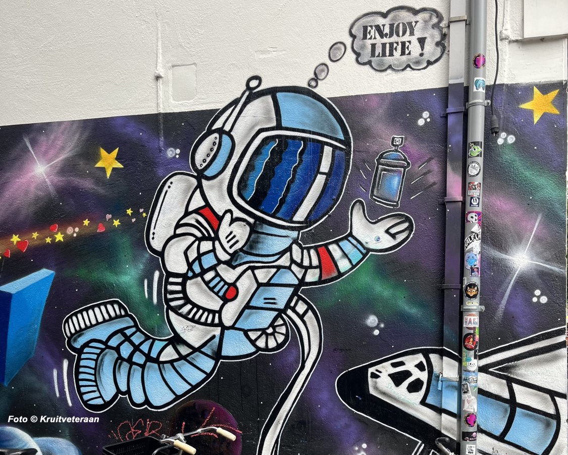 Click image for larger version

Name:	Vuurwerk Street ARt - Delft juli 2024 - Foto © Kruitveteraan (3).jpg
Views:	54
Size:	318.9 KB
ID:	3393