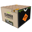 5d7b821648fe93.33993127L004 - Flower Power.png
